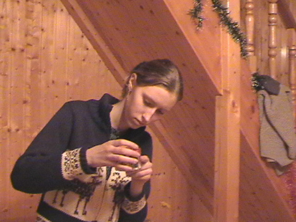 Новый Год 2003-2004